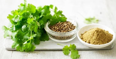Soft extract